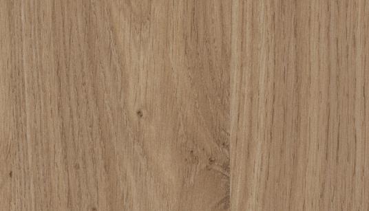 dub-winchester-svetly